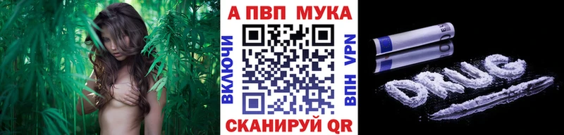 Альфа ПВП СК КРИС  Собинка 