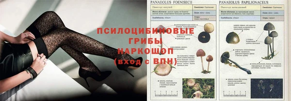 бутират Алексеевка