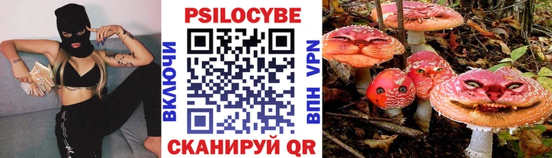 Псилоцибиновые грибы мицелий  МЕГА ссылки  Собинка 